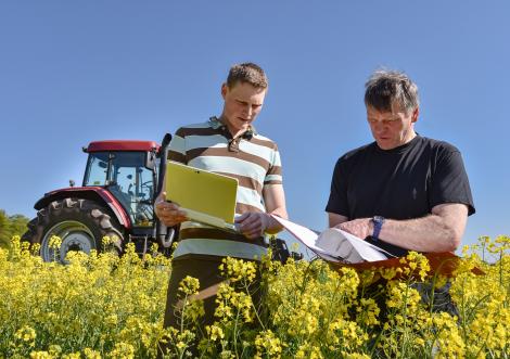 Agriculture