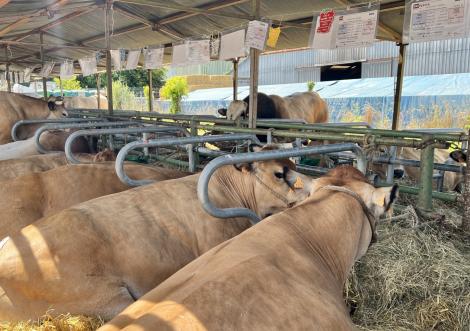 CIMA 53 : rendez-vous avec l’agriculture