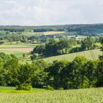 Projet collectif en faveur du bocage