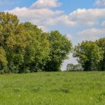 Plan de gestion durable des haies