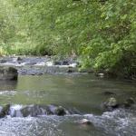 Restauration et entretien des cours d'eau