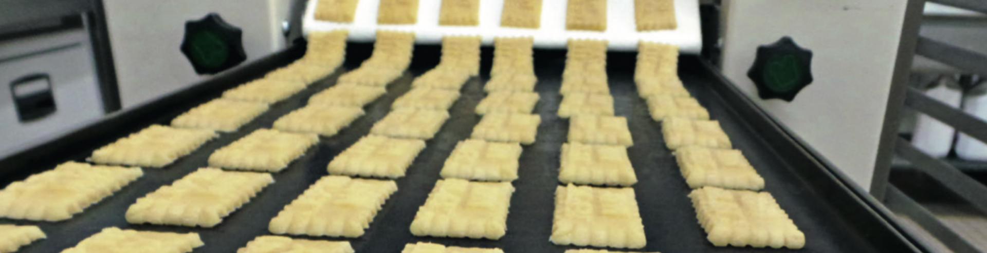Tout est parti d’un simple biscuit...