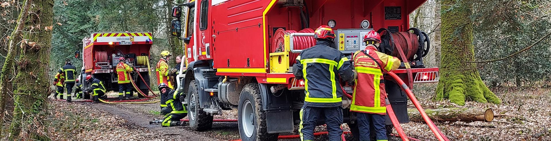 Feux de forêts : les sapeurs-pompiers mayennais en alerte
