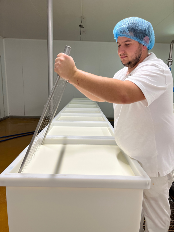 Fabrication artisanale fromage Montsûrais 