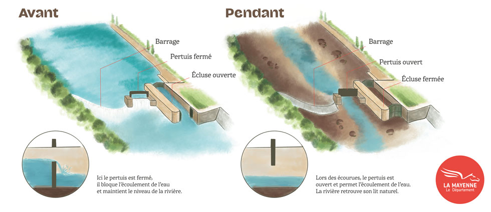 Schéma écourues